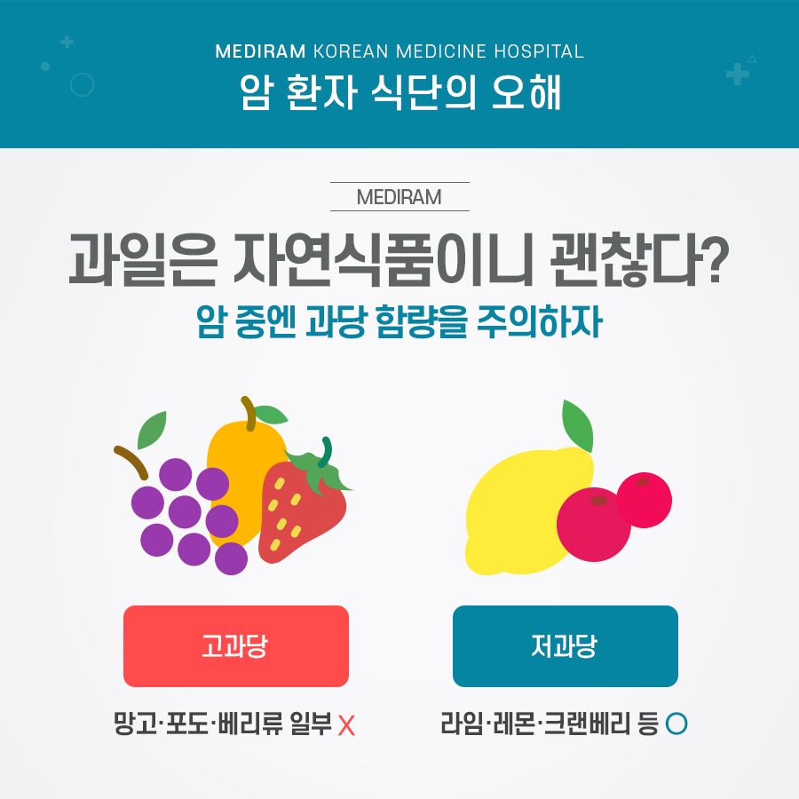 식단에 대한 흔한 오해를 정리한 자료(채식과 단백질 섭취)