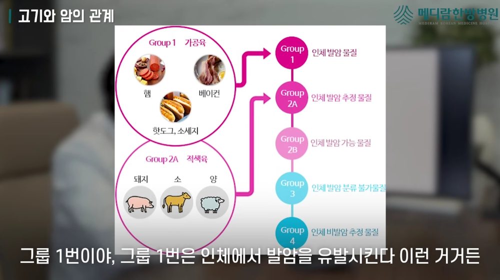 가공육과 적색육 섭취에 대한 참고 자료