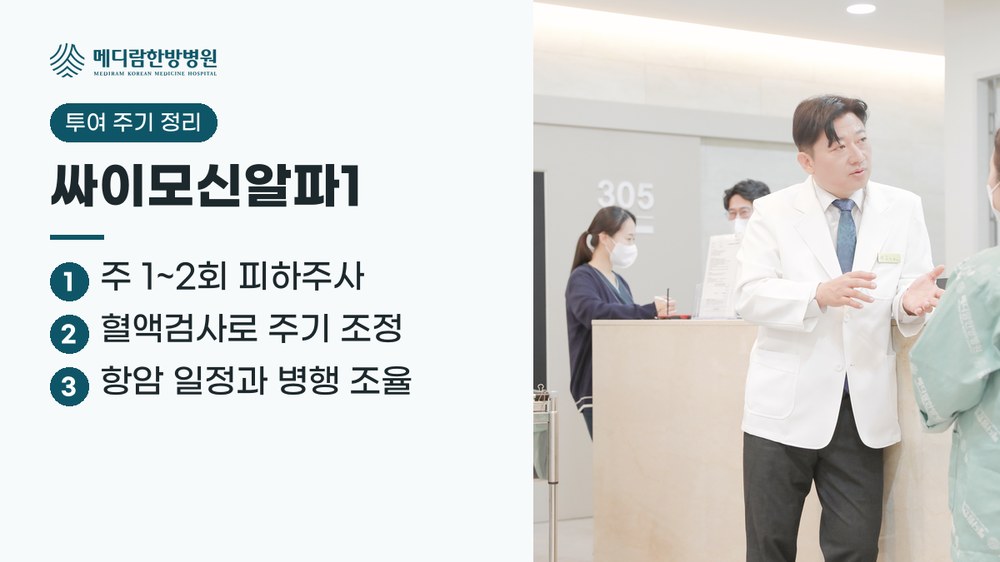 싸이모신알파1 주사의 투여 주기를 정하는 기준을 정리한 요약 이미지