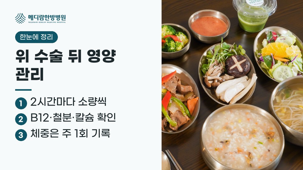 위 수술 뒤 영양 관리 요약: 2시간마다 소량씩 먹고, 비타민 B12·철분·칼슘을 검사로 확인하며, 체중을 주 1회 기록한다는 정리 이미지