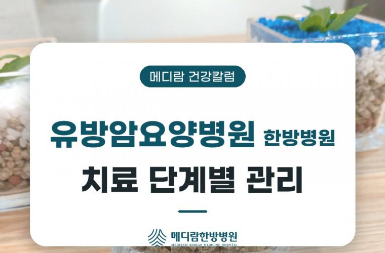 유방암요양병원 한방병원, 치료 단계별 관리 포인트 썸네일 이미지