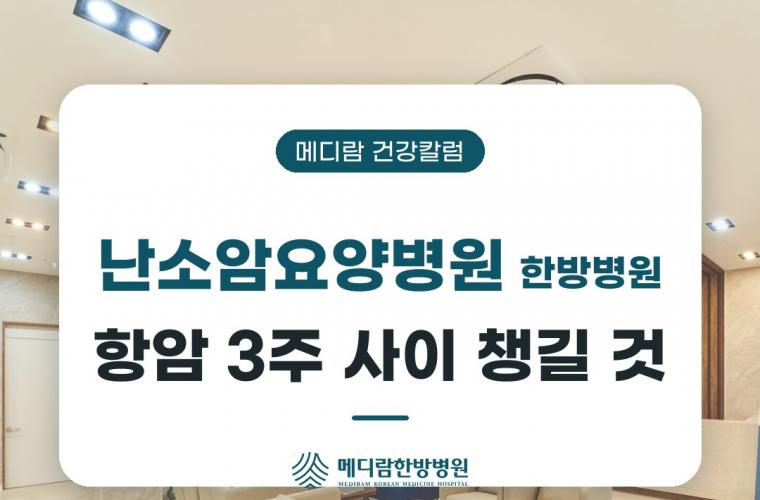 난소암요양병원 한방병원, 항암 3주 사이 챙길 것을 다룬 메디람 건강칼럼 목록 이미지