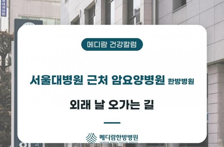 서울대병원 근처 암요양병원 한방병원, 외래 날 오가는 길을 다룬 메디람 건강칼럼 목록 이미지